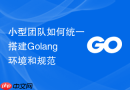 小型团队如何统一搭建Golang环境和规范