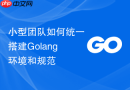 小型团队如何统一搭建golang环境和规范