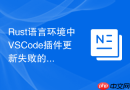rust语言环境中vscode插件更新失败的原因定位
