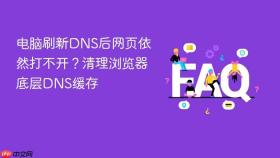 电脑刷新DNS后网页依然打不开？清理浏览器底层DNS缓存