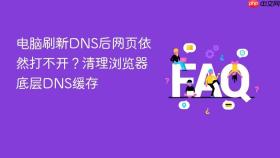 电脑刷新dns后网页依然打不开?清理浏览器底层dns缓存