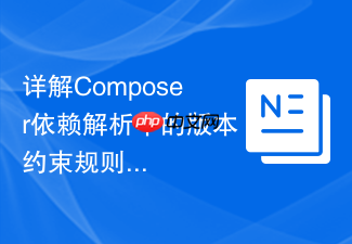 详解composer依赖解析中的版本约束规则