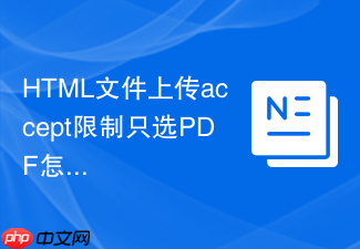 html文件上传accept限制只选pdf怎么配