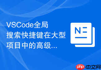 vscode全局搜索快捷键在大型项目中的高级应用
