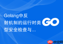golang中反射机制的运行时类型安全检查与防御