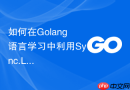 如何在golang语言学习中利用sync.locker设计自定义的资源排他锁