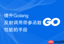 提升golang反射调用带参函数性能的手段