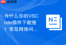 为什么你的VSCode插件下载慢？常见网络问题排查