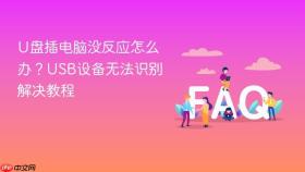 u盘插电脑没反应怎么办？usb设备无法识别解决教程
