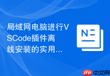 局域网电脑进行VSCode插件离线安装的实用技巧
