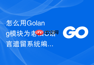怎么用golang模块为老旧c语言遗留系统编写安全的包装层