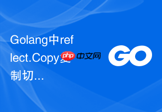 golang中reflect.copy复制切片数据的步骤与坑