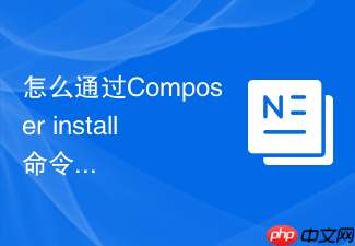 怎么通过composer install命令仅安装特定分类下的依赖？