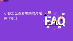 小白怎么查看电脑的局域网IP地址