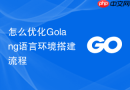 怎么优化Golang语言环境搭建流程
