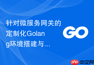 针对微服务网关的定制化golang环境搭建与轻量级编译