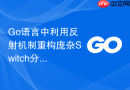 go语言中利用反射机制重构庞杂switch分支的代码实践
