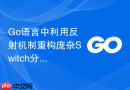 Go语言中利用反射机制重构庞杂Switch分支的代码实践