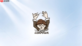 composer如何查看数据校验结果
