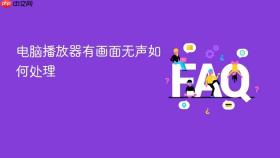 电脑播放器有画面无声如何处理