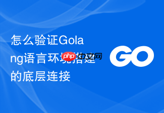怎么验证golang语言环境搭建的底层连接