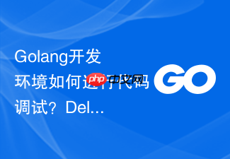 golang开发环境如何进行代码调试?delve调试器配置步骤