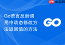 Go语言反射调用中动态修改方法返回值的方法
