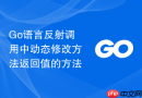 go语言反射调用中动态修改方法返回值的方法