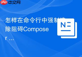 怎样在命令行中强制清除阻碍composer install命令的锁文件?