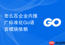 怎么在企业内推广标准化Go语言模块依赖