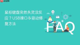 鼠标键盘突然失灵没反应?usb接口与驱动修复方法