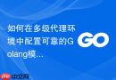 如何在多级代理环境中配置可靠的Golang模块拉取路由选择策略