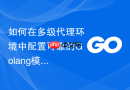 如何在多级代理环境中配置可靠的golang模块拉取路由选择策略