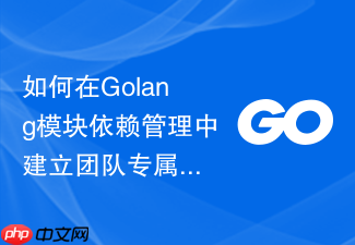 如何在golang模块依赖管理中建立团队专属的镜像仓库列表