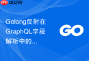 Golang反射在GraphQL字段解析中的性能瓶颈与改善