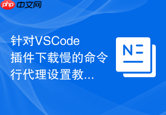 针对vscode插件下载慢的命令行代理设置教程