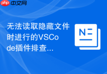 无法读取隐藏文件时进行的VSCode插件排查