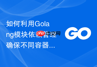 如何利用golang模块依赖管理确保不同容器环境下的构建一致性