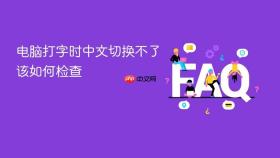 电脑打字时中文切换不了该如何检查