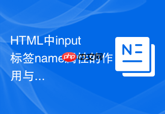 html中input标签name属性的作用与使用技巧
