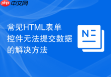 常见HTML表单控件无法提交数据的解决方法