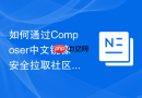 如何通过composer中文镜像安全拉取社区非主流小众php类库(小众技巧)