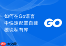 如何在go语言中快速配置自建模块私有库