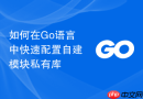 如何在Go语言中快速配置自建模块私有库