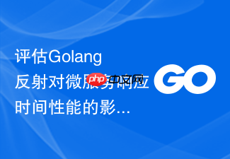 评估golang反射对微服务响应时间性能的影响