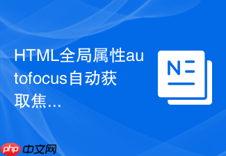 html全局属性autofocus自动获取焦点使用技巧