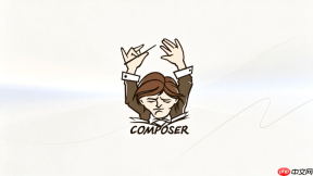 Composer怎么检查配置并验证生效
