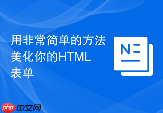 用非常简单的方法美化你的html表单