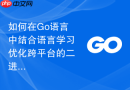 如何在Go语言中结合语言学习优化跨平台的二进制文件打包