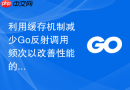 利用缓存机制减少Go反射调用频次以改善性能的实践